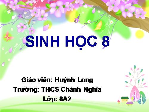 Bài 20. Hô hấp và các cơ quan hô hấp