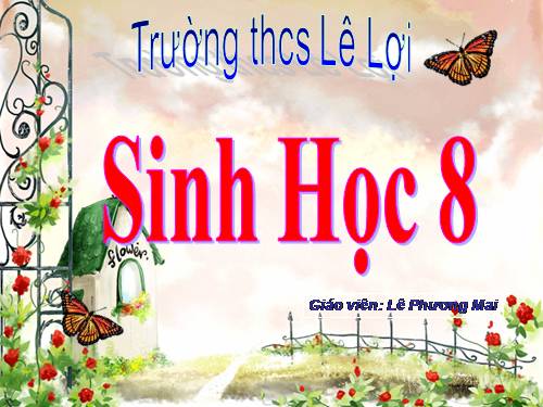Bài 11. Tiến hóa của hệ vận động. Vệ sinh hệ vận động