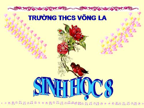 Bài 13. Máu và môi trường trong cơ thể