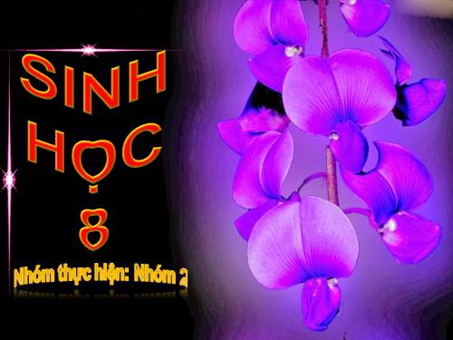 Bài 18. Vận chuyển máu qua hệ mạch. Vệ sinh hệ tuần hoàn