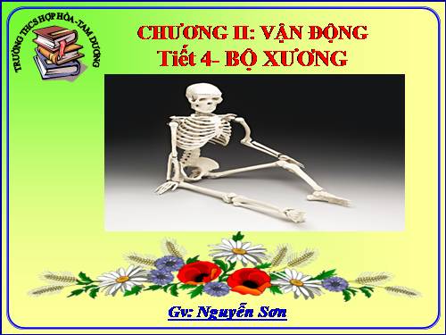 Bài 7. Bộ xương