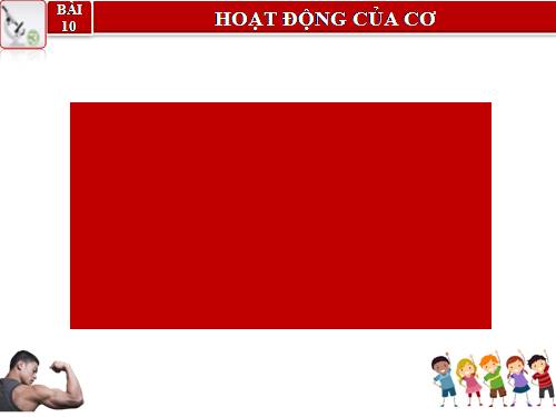 Bài 10. Hoạt động của cơ