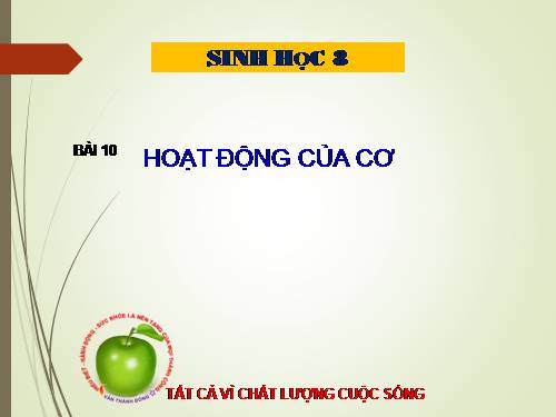 Bài 10. Hoạt động của cơ