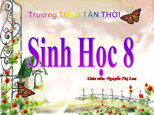 Bài 11. Tiến hóa của hệ vận động. Vệ sinh hệ vận động