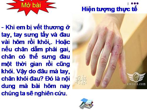 Bài 14. Bạch cầu- Miễn dịch