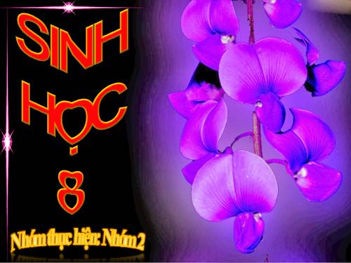 Bài 7. Bộ xương