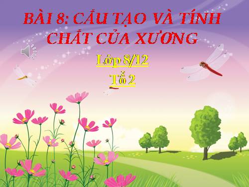 Bài 8. Cấu tạo và tính chất của xương