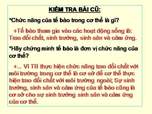 Bài 4. Mô