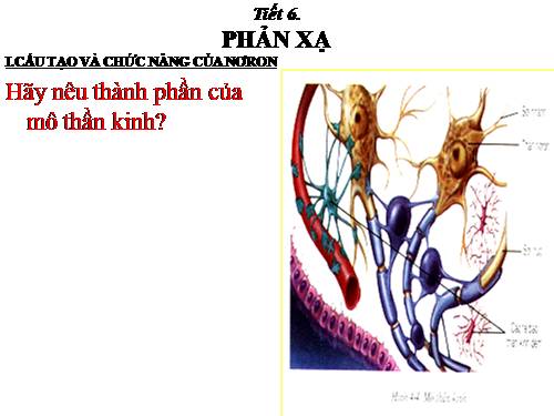 Bài 6. Phản xạ