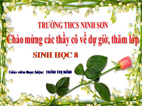 Bài 60. Cơ quan sinh dục nam