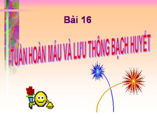 Bài 16. Tuần hoàn máu và lưu thông bạch huyết