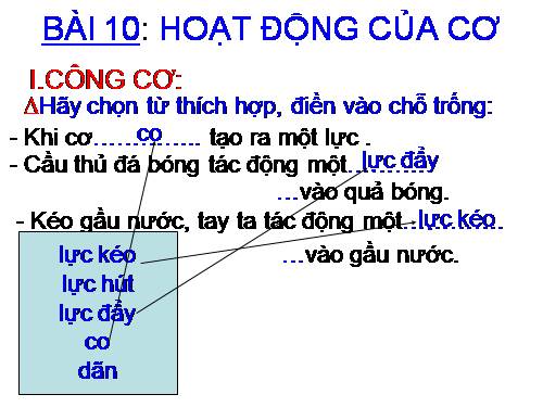 Bài 10. Hoạt động của cơ