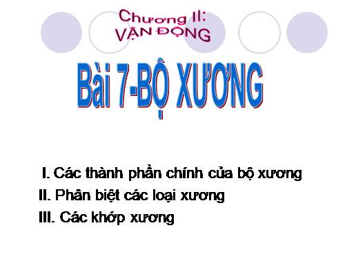 Bài 7. Bộ xương