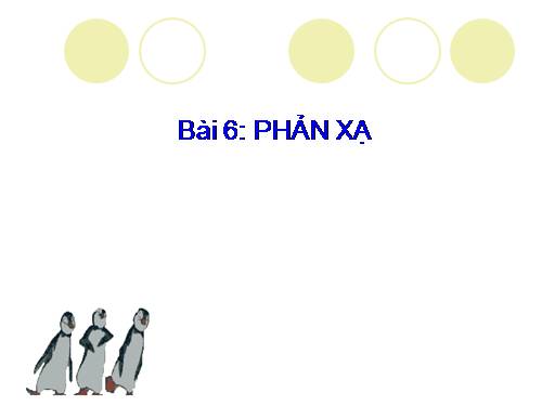 Bài 6. Phản xạ