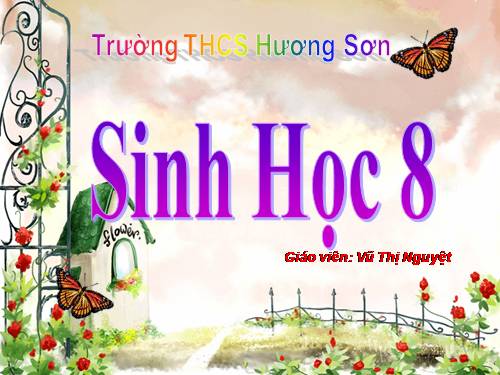 Bài 11. Tiến hóa của hệ vận động. Vệ sinh hệ vận động