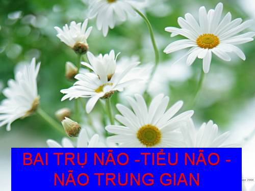 Bài 46. Trụ não. Tiểu não. Não trung gian