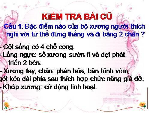 Bài 12. Thực hành: Tập sơ cứu và băng bó cho người gãy xương