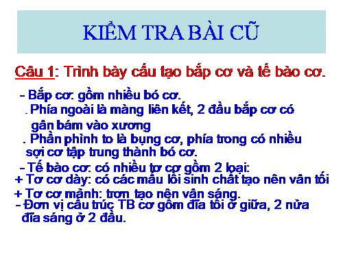 Bài 10. Hoạt động của cơ