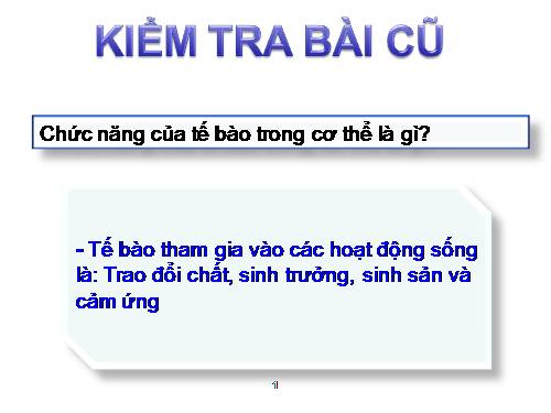 Bài 4. Mô