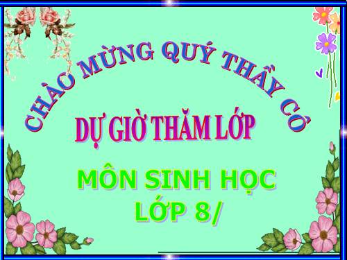 Bài 29. Hấp thụ chất dinh dưỡng và thải phân