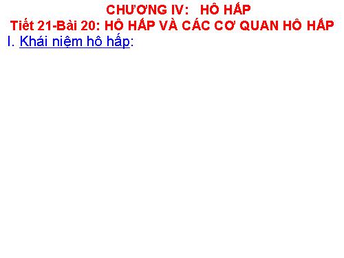 Bài 20. Hô hấp và các cơ quan hô hấp