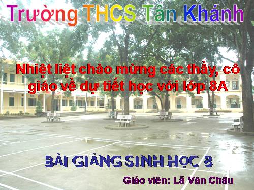 Bài 48. Hệ thần kinh sinh dưỡng