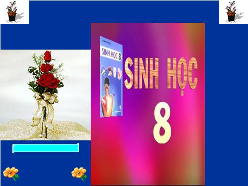 Bài 30. Vệ sinh tiêu hóa