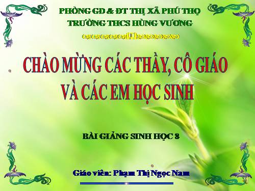 Bài 58. Tuyến sinh dục