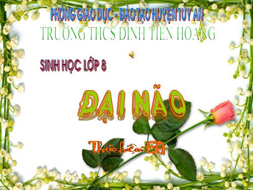Bài 47. Đại não