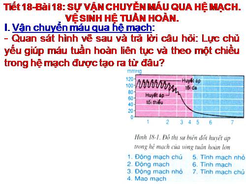 Bài 18. Vận chuyển máu qua hệ mạch. Vệ sinh hệ tuần hoàn