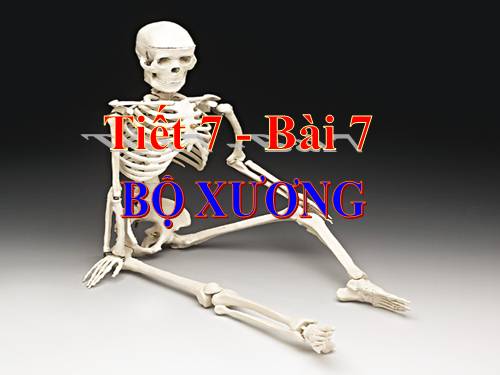 Bài 7. Bộ xương