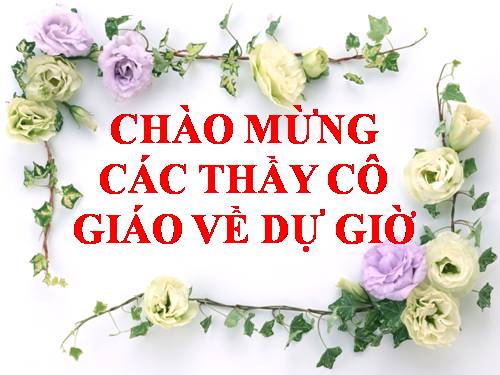 Bài 47. Đại não