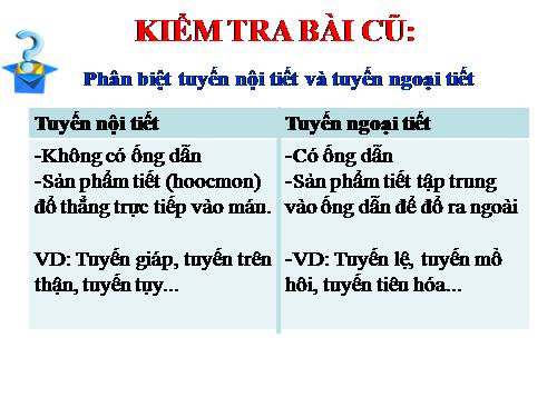 Bài 56. Tuyến yên, tuyến giáp