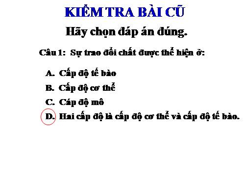 Bài 38. Bài tiết và cấu tạo hệ bài tiết nước tiểu