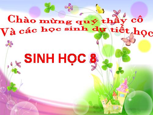 Bài 49. Cơ quan phân tích thị giác