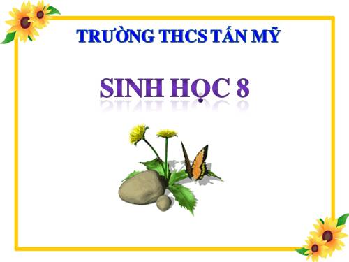 Bài 51. Cơ quan phân tích thính giác