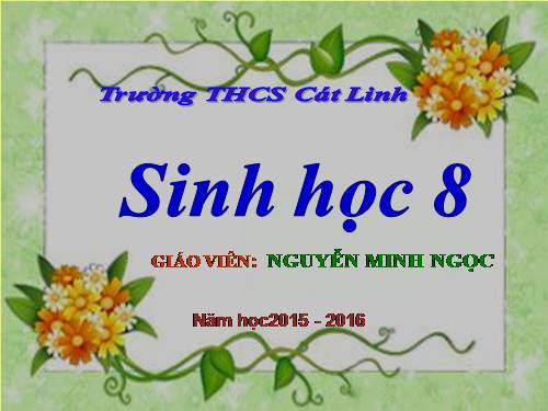 Bài 25. Tiêu hóa ở khoang miệng