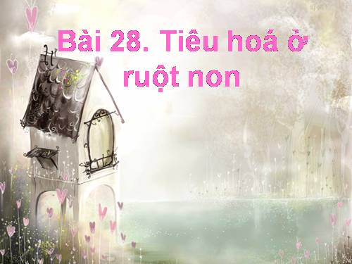 Bài 28. Tiêu hóa ở ruột non