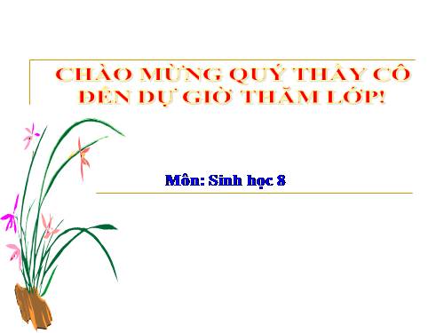 Bài 47. Đại não