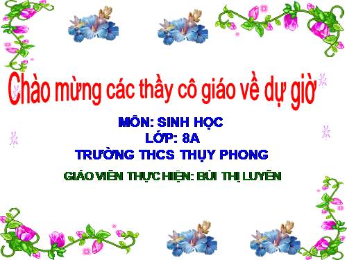 Bài 47. Đại não