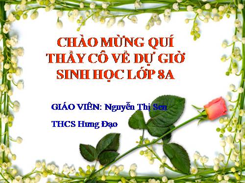 Bài 19. Thực hành: Sơ cứu cầm máu