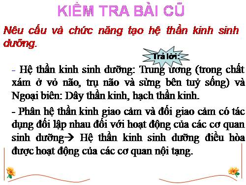 Bài 49. Cơ quan phân tích thị giác