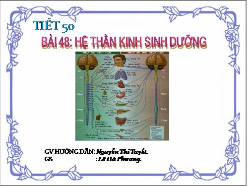 Bài 48. Hệ thần kinh sinh dưỡng