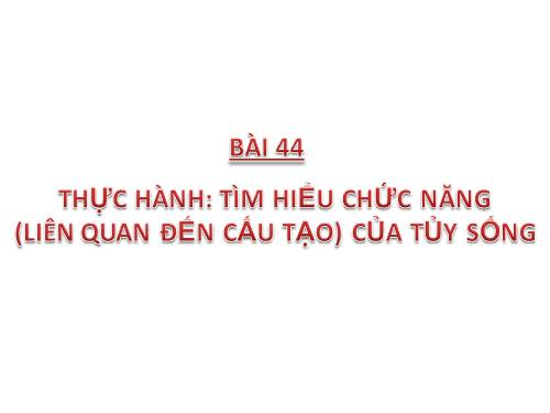 Bài 44. Thực hành: Tìm hiểu về hệ chức năng (liên quan đến cấu tạo) của tủy sống