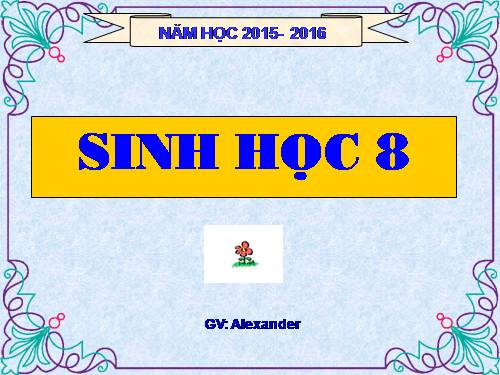 Bài 44. Thực hành: Tìm hiểu về hệ chức năng (liên quan đến cấu tạo) của tủy sống