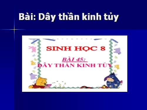 Bài 45. Dây thần kinh tủy