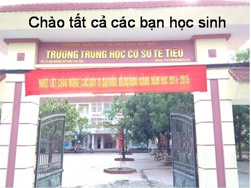 Bài 15. Đông máu và nguyên tắc truyền máu