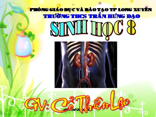 Bài 40. Vệ sinh hệ bài tiết nước tiểu