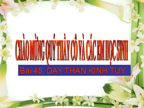 Bài 45. Dây thần kinh tủy