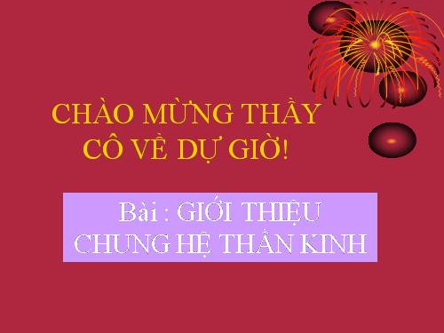 Bài 43. Giới thiệu chung hệ thần kinh